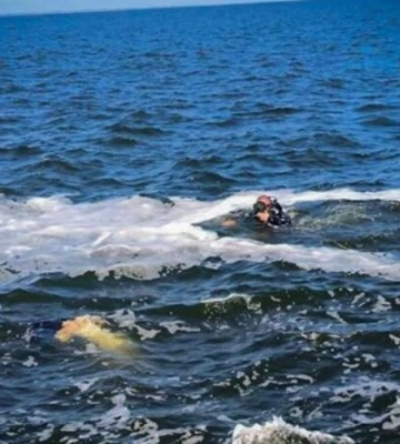 Водолази знайшли тіло дівчини, яку хвилею знесло з пірса в Одесі