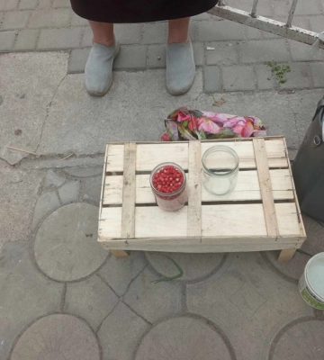 У селищі на Волині розпочався сезон чорниці: скільки вартують ягоди