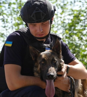 Мінно-пошукові собаки Ахілл та Арчі розміновують території Миколаївщини