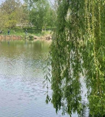У Полтаві очікується дощова погода, але буде тепло