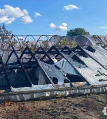 На Київщині горіла равликова ферма: яка доля молюсків