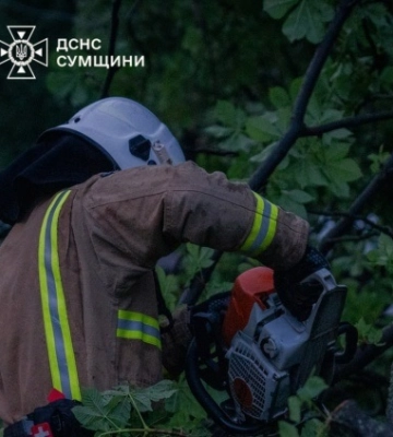 В Охтирці звалене буревієм дерево впало на проїзджу частину дороги
