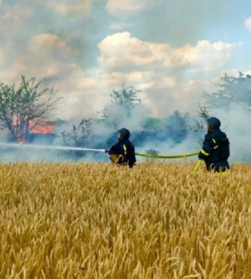 На Херсонщині через обстріли окупаційними військами горіло поле пшениці 