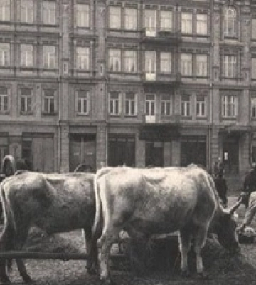 З базаром і трамваями: як виглядала Львівська площа у Києві у 1890-1900 роках