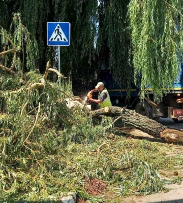У Харкові дерево впало на електроопору та травмувало трьох людей