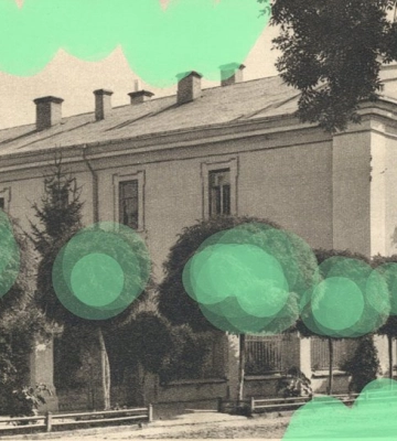 Озеленення в Луцьку: історичні кейси