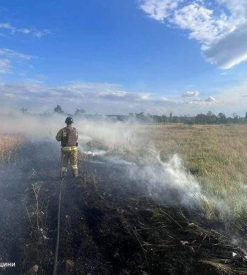 В Николаевской области загорелось поле ячменем. Фото