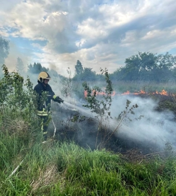 Волинь палає: горять чагарники та сухостій 
