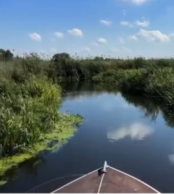 На плавні у Рівному націлилися забудовники?