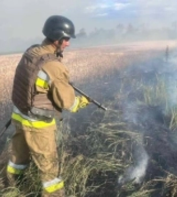 На Миколаївщині горіло поле з посівом ячменю