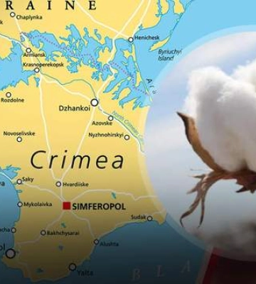 &quot;Ослепляем&quot; Крым: каковы результаты увеличения &quot;хлопка&quot; на полуострове