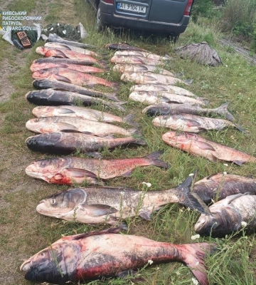 На Київщині спіймали браконьєрів, які добули майже півтони риби (ФОТО)