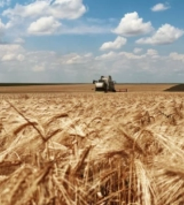 Аграрії Одещини готуються до початку жнив-2024