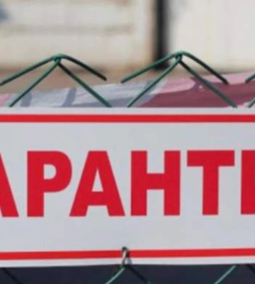На Волині ціле село закрили на карантин через котика: що сталося