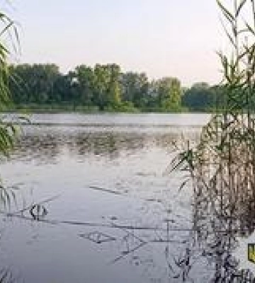 У Горішніх Плавнях знайшли тіло потопельника за допомогою дрона