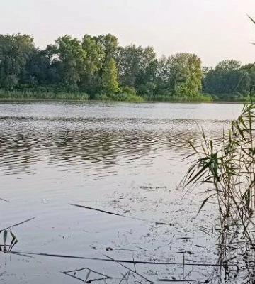 У Горішніх Плавнях знайшли тіло потопельника за допомогою дрона
