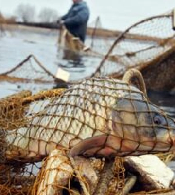 Під Кременчуком чоловік "нарибалив" штраф у понад 3,1 млн гривень