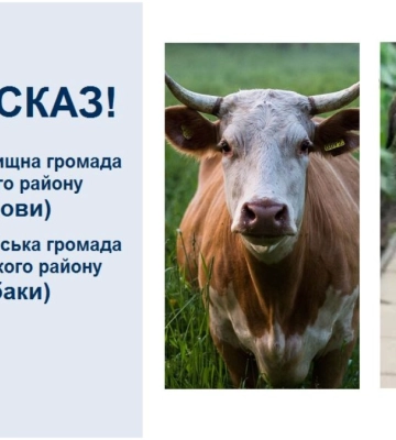 У корови та собаки виявили сказ на Прикарпатті