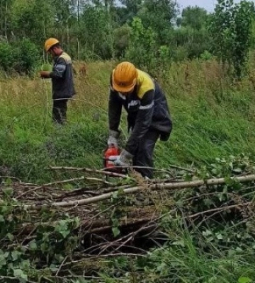 У Київській області через негоду почалися аварійні відключення світла