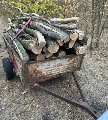 На Одещині зловили «чорних» лісорубів