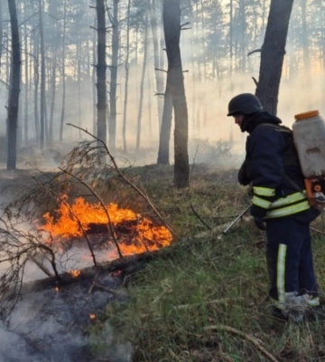 На Харківщині гасять 15 лісових пожеж, горять 3000 га – ДСНС