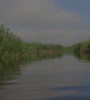 У Дубні у водоймі знайшли тіло жінки