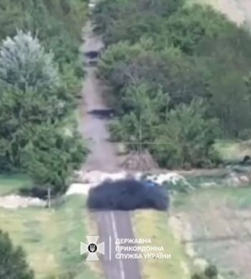 Прикордонники мінометним вогнем зруйнували позицію ворога на Вовчанському напрямку. ВIДЕО