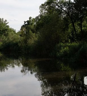 Похмуро та без опадів: погода в Кривому Розі на 13 червня