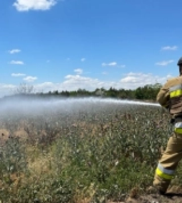 На Миколаївщині загасили вісім пожеж сухої трави