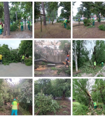 Що наробила негода у Харкові, показали комунальники 