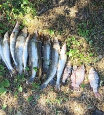 На Дніпропетровщині затримали чоловіка за незаконний вилов риби на 55 тисяч гривень