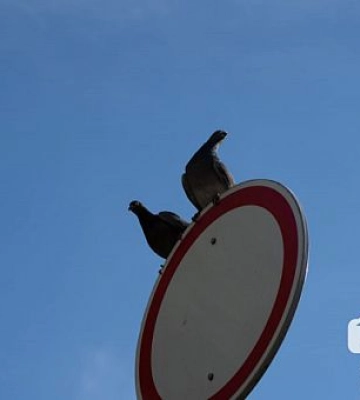 Облачно с возможным дождем и грозой: погода в Кривом Роге 14 июня