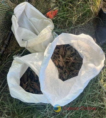 На Одещині затримали браконьєрів, які наловили раків на більш як мільйон гривень
