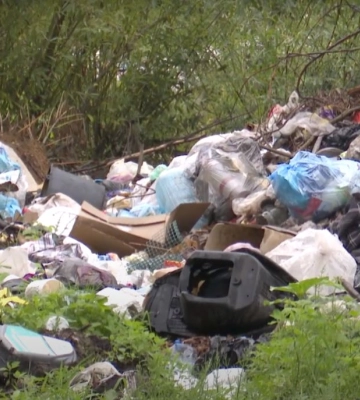 Волинська Голландія кличе на відкриття лавандового поля: де та коли