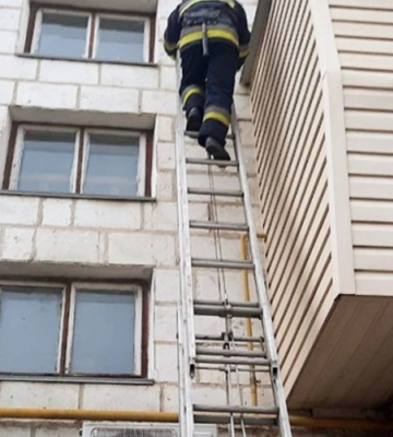 На Одещині працівники ДСНС врятували черепаху