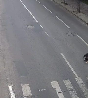 У Луцьку на пішохідному переході на Винниченка збили жінку (відео)