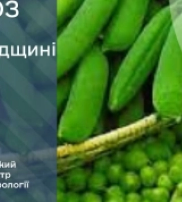Прогноз погоди на 17 червня по Кіровоградщині