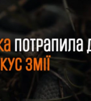 На Закарпатті після укусу змії госпіталізували 45-річного чоловіка