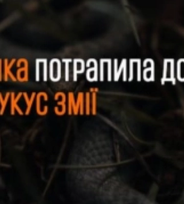 На Стрийщині змія вкусила дитину