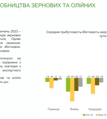 Виробництво зернових в Україні залишається збитковим