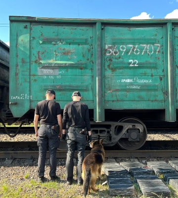 На Волині горіли господарська споруда та автівка