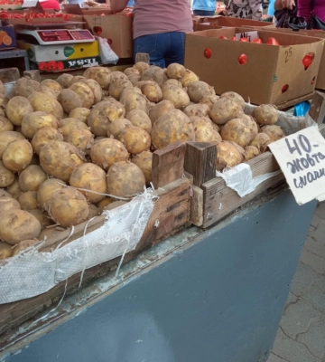 Скільки коштує молода картопля на ринку у Луцьку