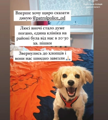 Раптово стало зле: одеські патрульні допомогли доставити песика до ветеринарної лікарні