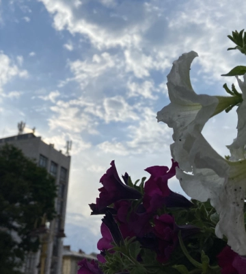 Якою буде погода 18 червня на Івано-Франківщині