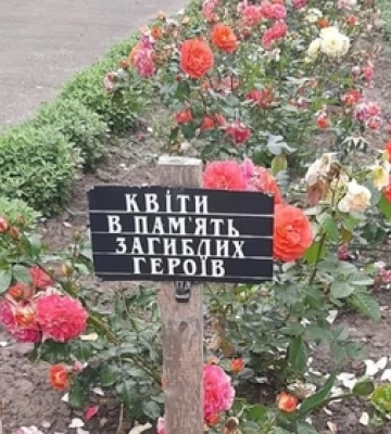 На Волині вандали знищили квіти висадженні в пам&#039;ять загиблих Героїв 