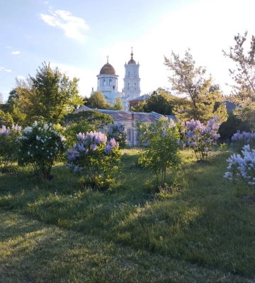 Чим дихали сумчани у травні