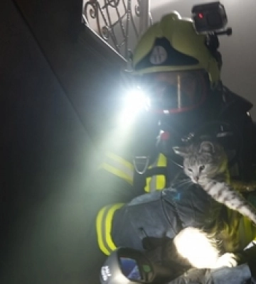 Вогнеборці винесли двох котів з пожежі під Луцьком 