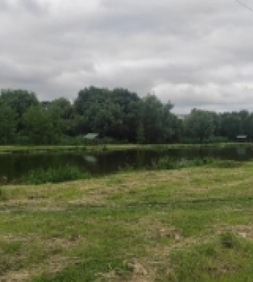 Похмурий день у Горохові. ГАЛЕРЕЯ