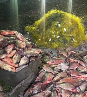 На Полтавщині браконьєр виловив риби на понад пів мільйона гривень