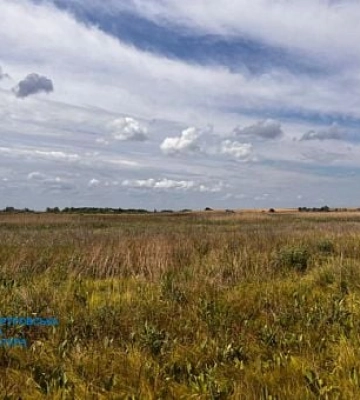 На Дніпропетровщині державі повернули землі заказника вартістю майже 2 мільярди гривень